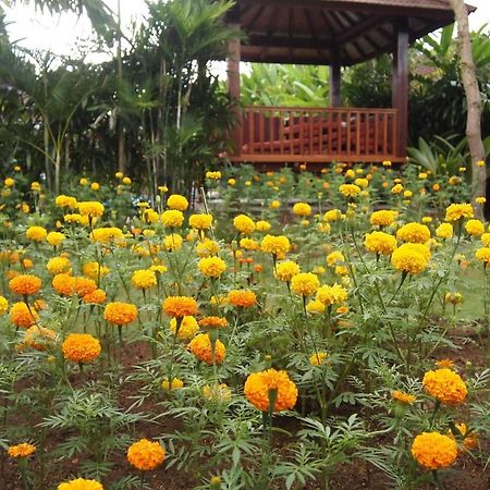 Yulia Village Inn Ubud Exterior photo